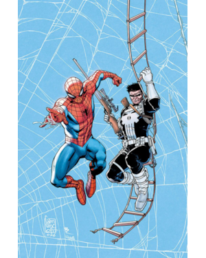 Coleção Homem-Aranha: Teia de Heróis Vol. 4 - Homem-Aranha e Justiceiro