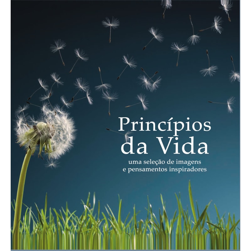 Coleção pensamentos - princípios da vida