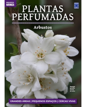 COLEÇÃO PLANTAS PERFUMADAS - 2 ARBUSTOS