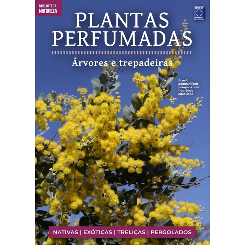 image_bf28e9dd-325b-4f50-94d6-2d033f2c92ef