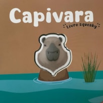 Coleção Som e Diversão - Capivara