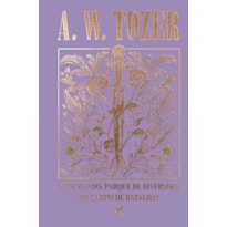 Coleção Tozer - Este Mundo: Parque de Diversões ou Campo de Batalha?: O chamado para o verdadeiro mundo espiritual