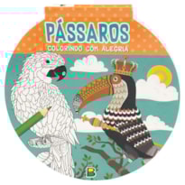 COLORINDO COM ALEGRIA: PÁSSAROS