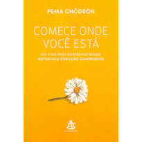 COMECE ONDE VOCÊ ESTÁ: UM GUIA PARA DESPERTAR NOSSO AUTÊNTICO CORAÇÃO COMPASSIVO