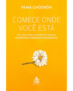 COMECE ONDE VOCÊ ESTÁ: UM GUIA PARA DESPERTAR NOSSO AUTÊNTICO CORAÇÃO COMPASSIVO