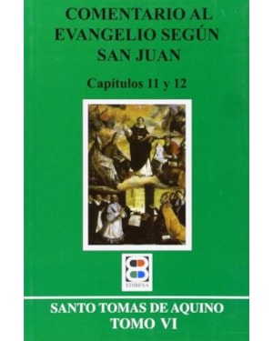 COMENTARIO AL EVANGELIO SEGÚN SAN JUAN. TOMO VI