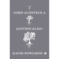 COMO ACONTECE A SANTIFICAÇÃO?