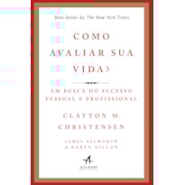 Como avaliar sua vida?: em busca do sucesso pessoal e profissional