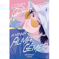 Como conheci a minha alma gêmea 01