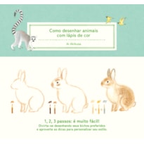 COMO DESENHAR ANIMAIS COM LÁPIS DE COR: (COLEÇÃO COM 3 TÍTULOS)