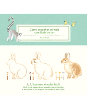 COMO DESENHAR ANIMAIS COM LÁPIS DE COR: (COLEÇÃO COM 3 TÍTULOS)