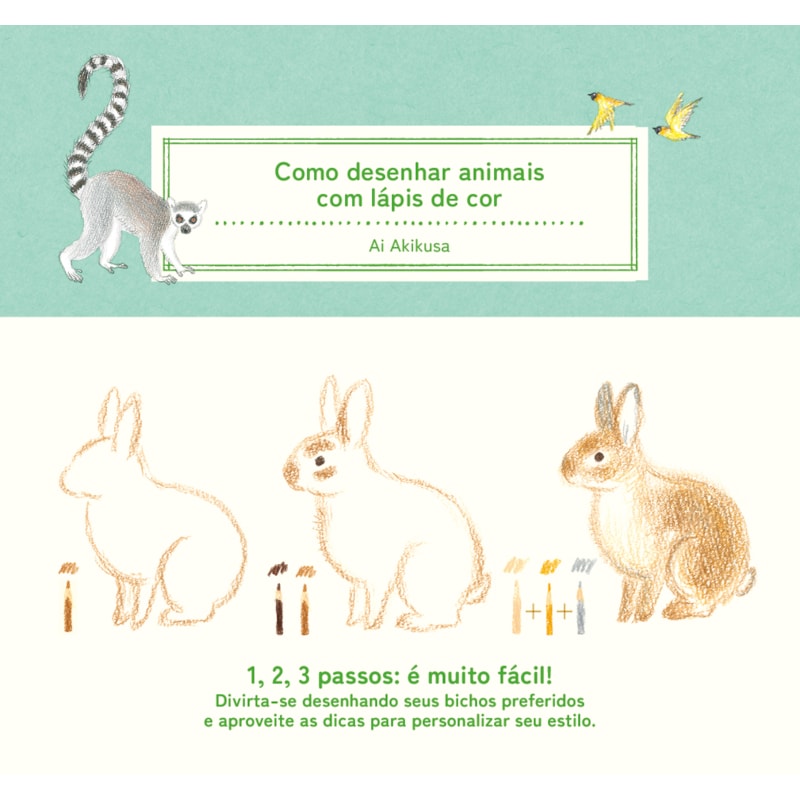COMO DESENHAR ANIMAIS COM LÁPIS DE COR: (COLEÇÃO COM 3 TÍTULOS)