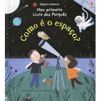 COMO É O ESPAÇO?: MEU PRIMEIRO LIVRO DOS PORQUÊS