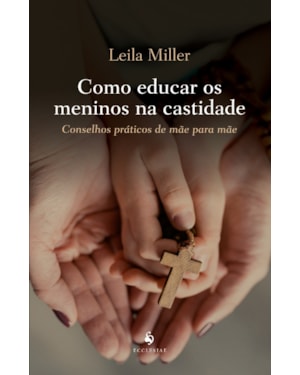 COMO EDUCAR OS MENINOS NA CASTIDADE