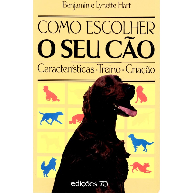 Como escolher o seu cão