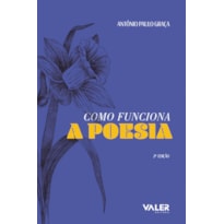 COMO FUNCIONA A POESIA