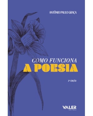 COMO FUNCIONA A POESIA