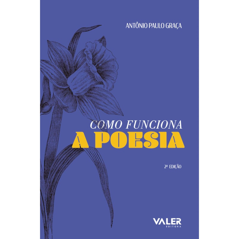 COMO FUNCIONA A POESIA