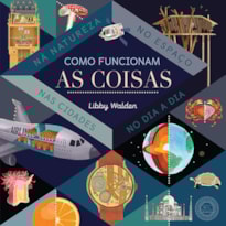 COMO FUNCIONAM AS COISAS NA NATUREZA, NO ESPAÇO, NAS CIDADES , NO DIA A DIA