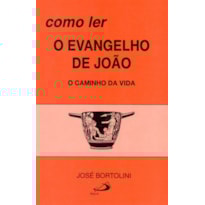 Como ler o Evangelho de João: o caminho da vida