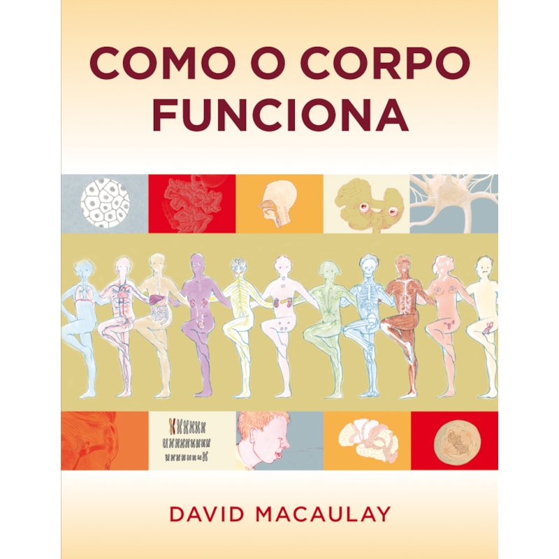 COMO O CORPO FUNCIONA