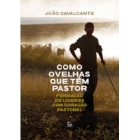Como ovelhas que têm pastor: Formação de líderes com coração pastoral