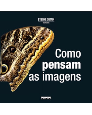 COMO PENSAM AS IMAGENS