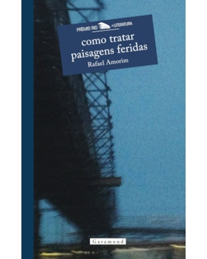 COMO TRATAR PAISAGENS FERIDAS