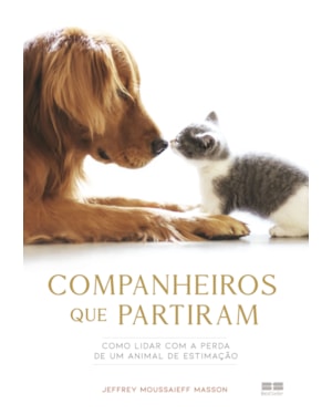 COMPANHEIROS QUE PARTIRAM