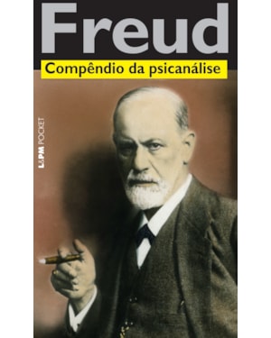 Compêndio da psicanálise