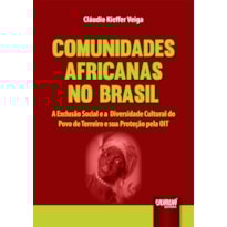 COMUNIDADES AFRICANAS NO BRASIL - A EXCLUSÃO SOCIAL E A DIVERSIDADE CULTURAL DO POVO DE TERREIRO E SUA PROTEÇÃO PELA OIT