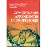 COMUNIDADES APRENDENTES DE PROFESSORES: O PIBID NA FURG