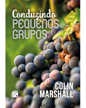 CONDUZINDO PEQUENOS GRUPOS