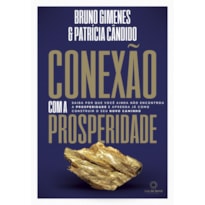 CONEXÃO COM A PROSPERIDADE: SAIBA POR QUE VOCÊ AINDA NÃO ENCONTROU A PROSPERIDADE E APRENDA COMO CONSTRUIR O SEU NOVO CAMINHO