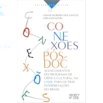 Conexões pós-doc: Agenciamentos do programa de crítica cultural, na UNEB, para outras interpretações do Brasil