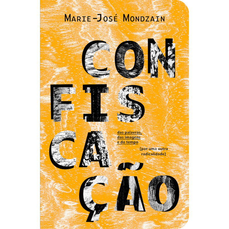 CONFISCAÇÃO: DAS PALAVRAS, DAS IMAGENS E DO TEMPO [POR UMA OUTRA RADICALIDADE]
