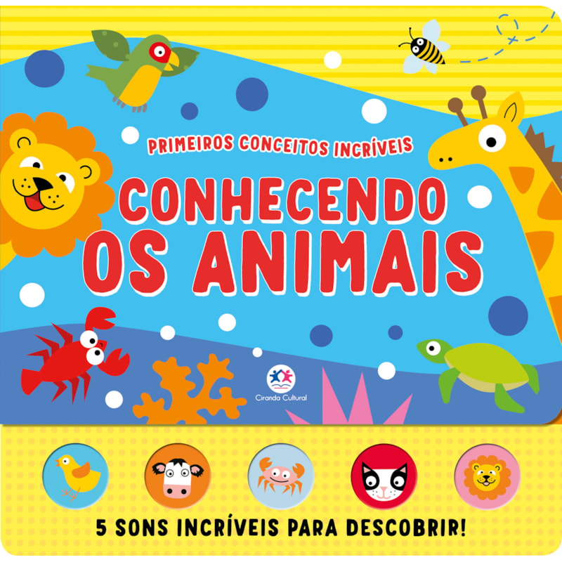 image_4241bd52-71ab-486e-8578-12f7264527f0