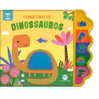 CONHECENDO OS DINOSSAUROS