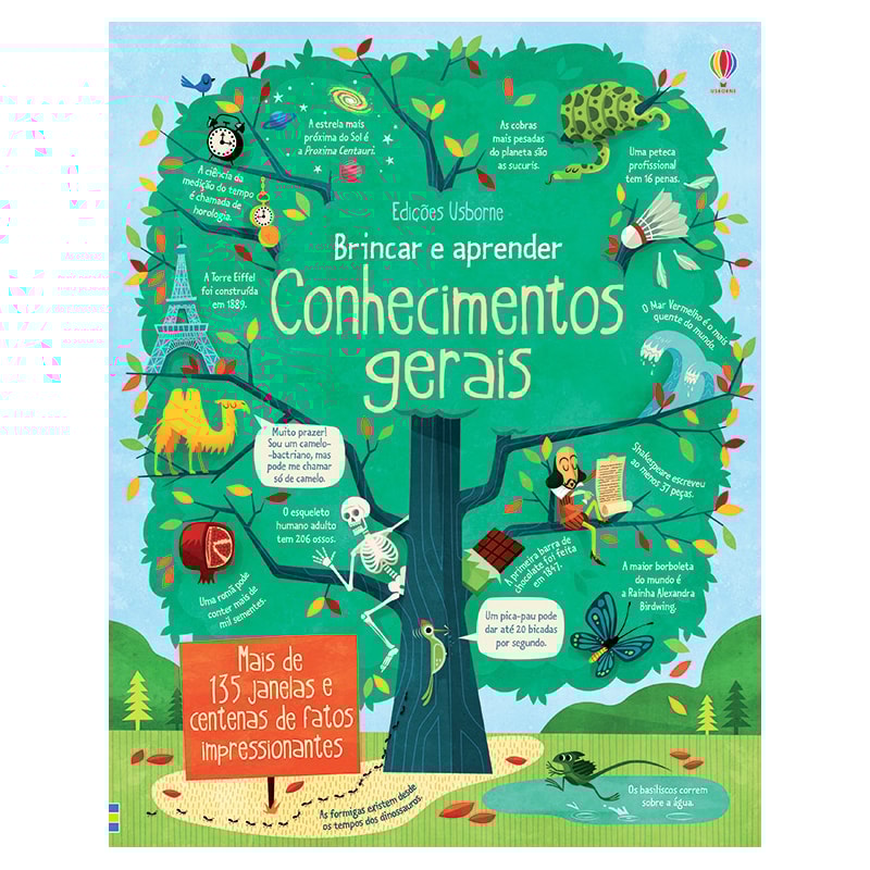 CONHECIMENTOS GERAIS: BRINCAR E APRENDER
