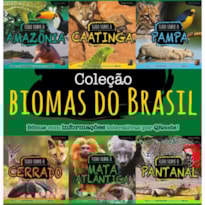 CONJUNTO - BIOMAS DO BRASIL