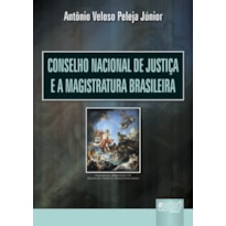 CONSELHO NACIONAL DE JUSTIÇA E A MAGISTRATURA BRASILEIRA