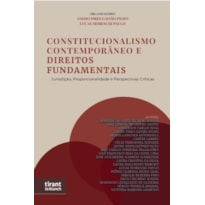 CONSTITUCIONALISMO CONTEMPORÂNEO E DIREITOS FUNDAMENTAIS: JURISDIÇÃO, PROPORCIONALIDADE E PERSPECTIVAS CRÍTICAS