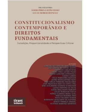 CONSTITUCIONALISMO CONTEMPORÂNEO E DIREITOS FUNDAMENTAIS: JURISDIÇÃO, PROPORCIONALIDADE E PERSPECTIVAS CRÍTICAS