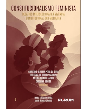 Constitucionalismo feminista: desafios interseccionais à vivência constitucional das mulheres