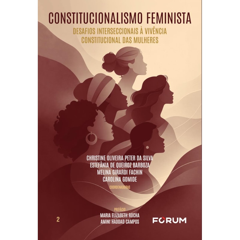 Constitucionalismo feminista: desafios interseccionais à vivência constitucional das mulheres
