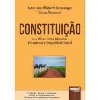 CONSTITUIÇÃO - UM OLHAR SOBRE MINORIAS VINCULADAS À SEGURIDADE SOCIAL - EDIÇÃO EM HOMENAGEM AOS 30 ANOS DA CONSTITUIÇÃO BRASILEIRA