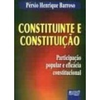 CONSTITUINTE E CONSTITUIÇÃO - PARTICIPAÇÃO POPULAR E EFICÁCIA CONSTITUCIONAL