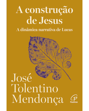 Construção de Jesus: a dinâmica narrativa de lucas