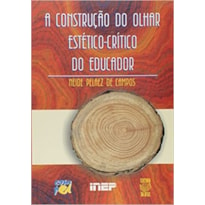 CONSTRUCAO DO OLHAR ESTETICO-CRITICO DO EDUCADOR, A - 1