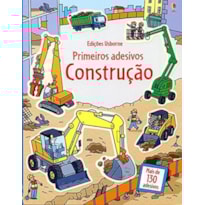 CONSTRUÇÃO : PRIMEIROS ADESIVOS